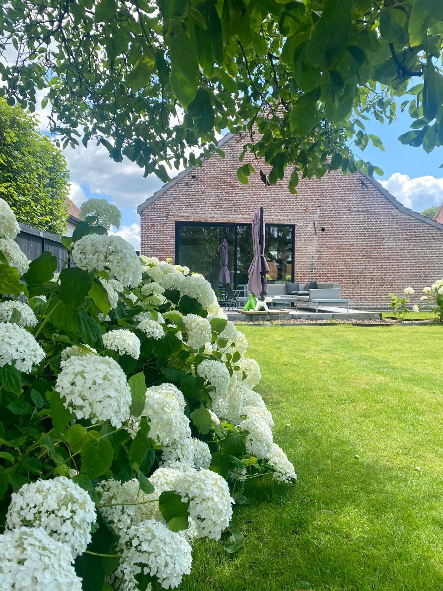 Hoeve De Kleinheide Dessel Eksteriør bilde