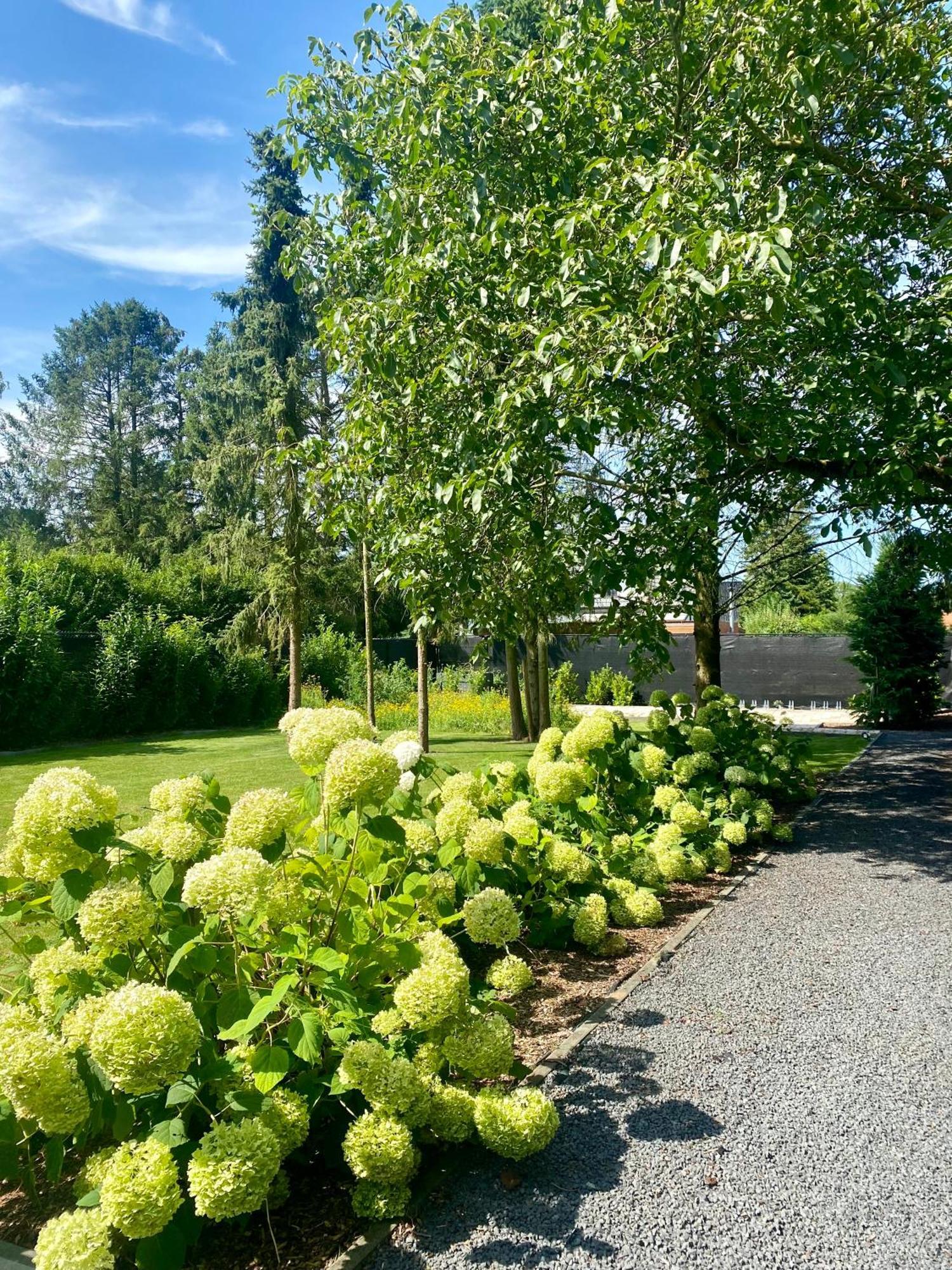 Hoeve De Kleinheide Dessel Eksteriør bilde